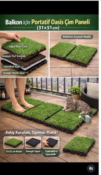 @Lotus bitki satışı