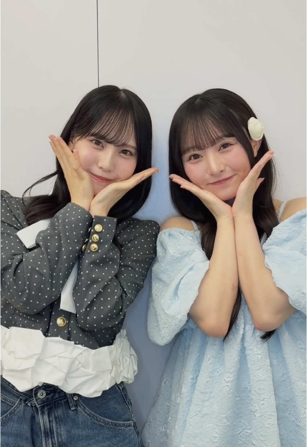 @日向坂46