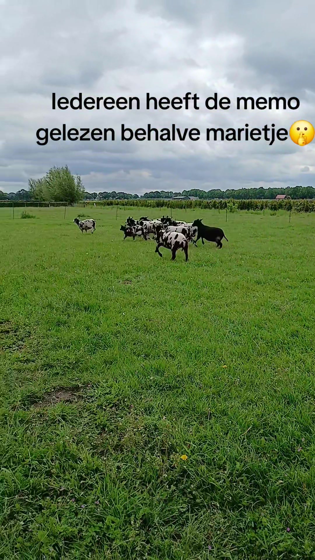 @Sjo's farmvideos