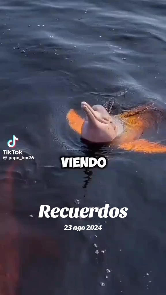 @PedroBaldallo 07