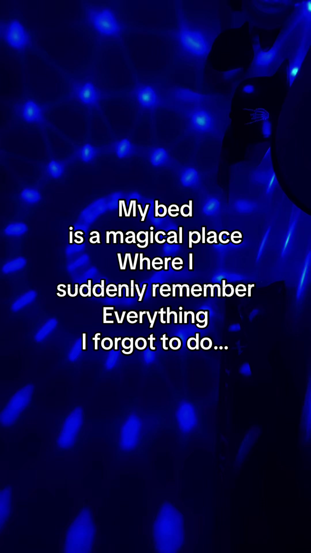@northman♓️🪬🧿🐈⬛