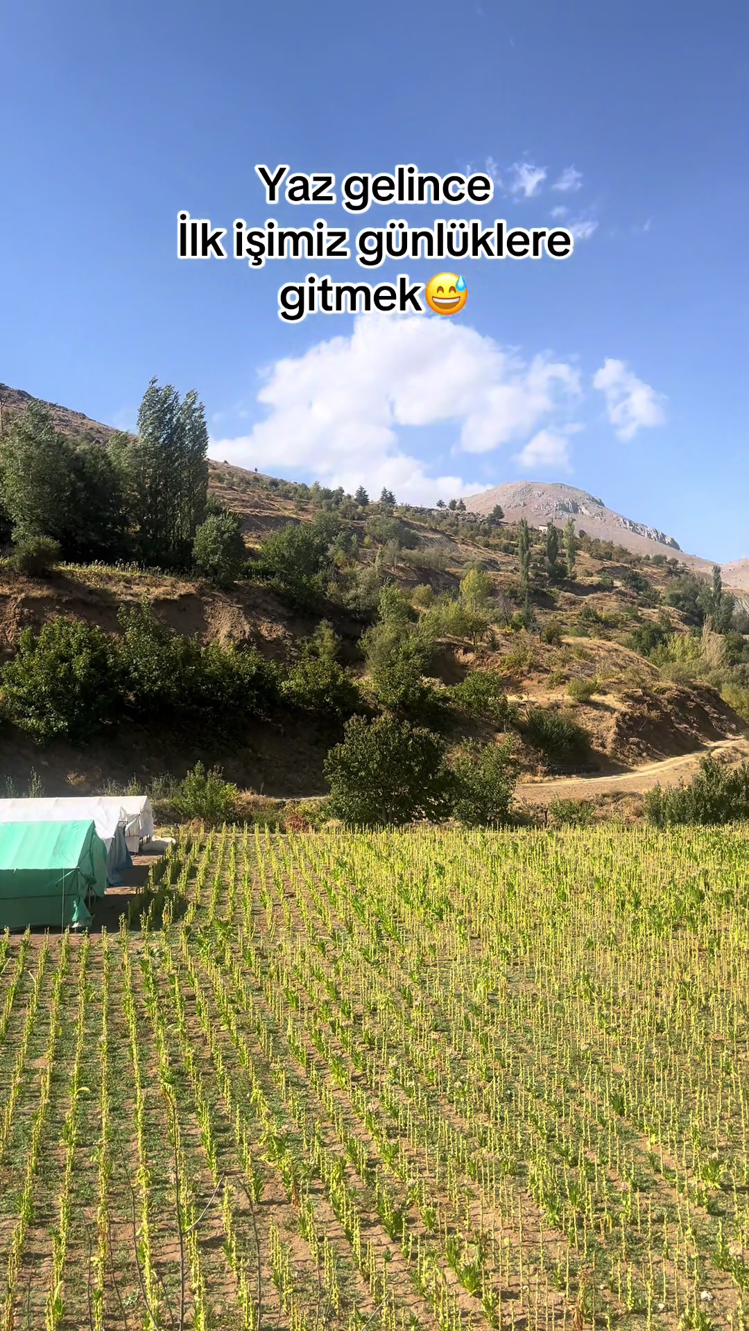 @Abdulkadir Altındağ