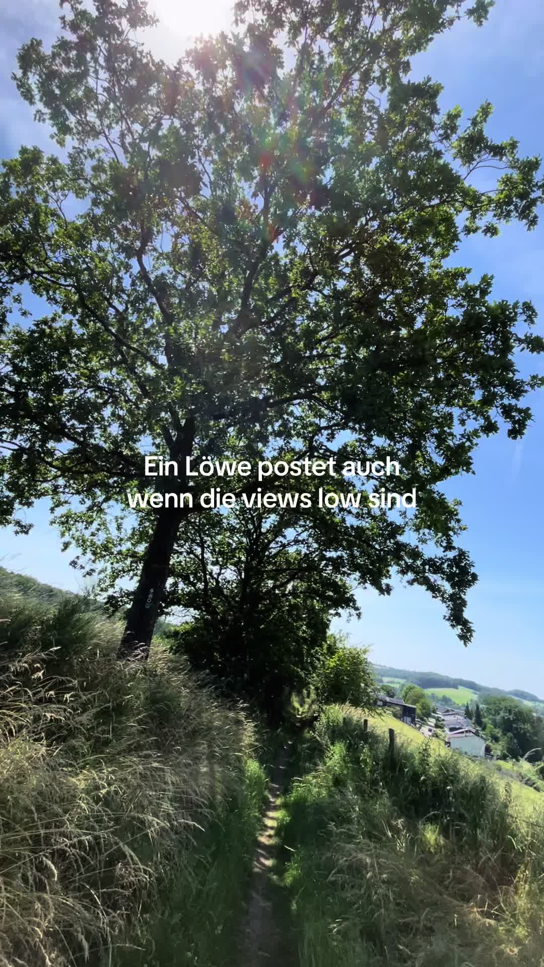@ᛏᛁᛏᚢᛋ 🌞🌲🏔️ᛉ