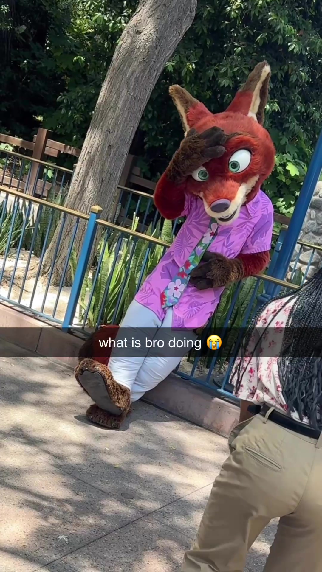@DP Interns