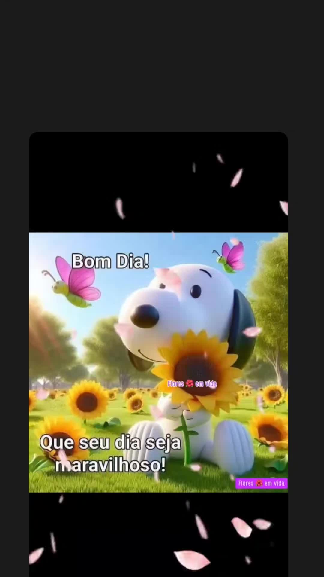 @LOURDINHA MIRANDA CHAVARRIA
