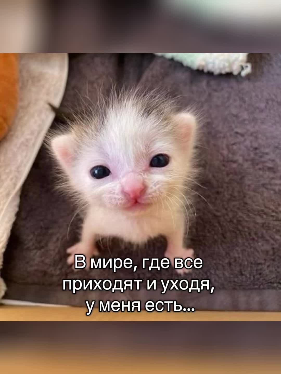 @frreyaaww