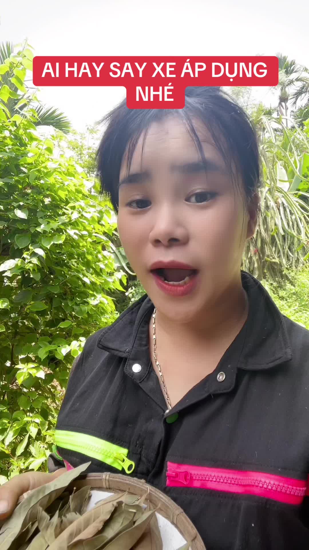@Ngọc Chinh Miền N&uacute;i