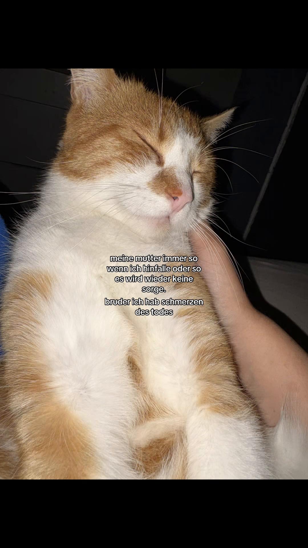 @..