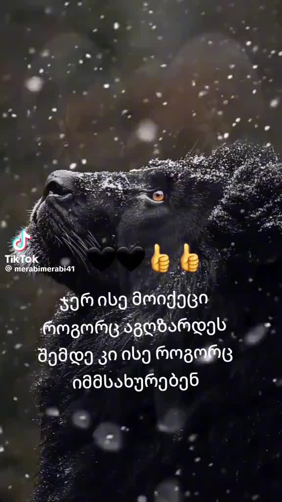 @Manana Jugashvili
