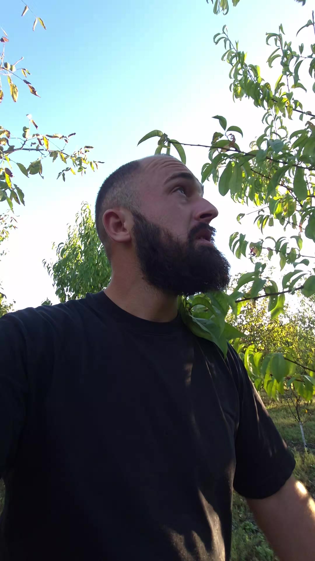 @Вадим Вадимович