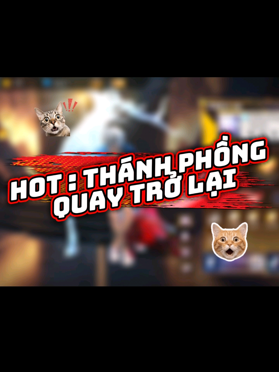 @Vu Thang FF