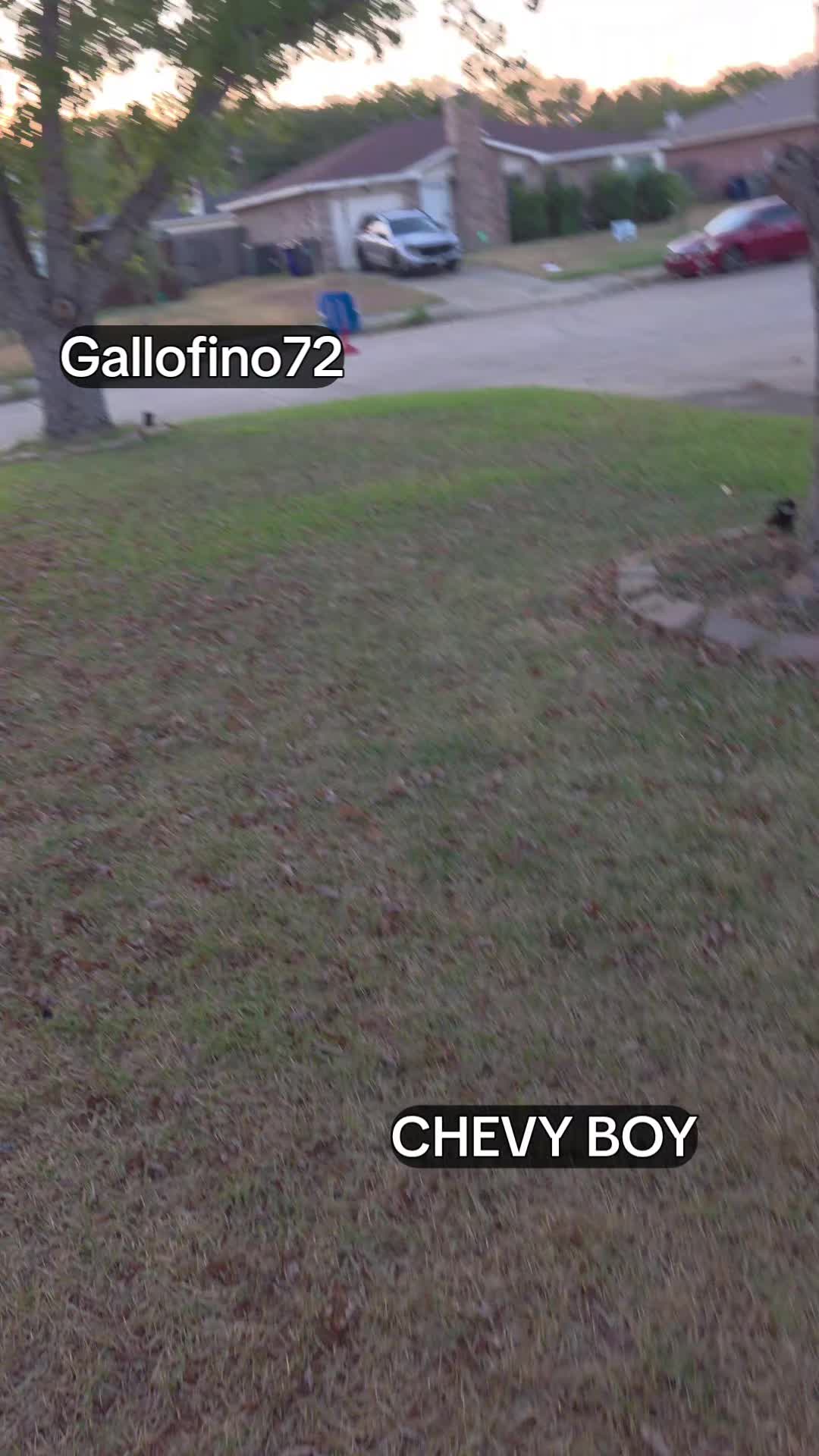 @ElGalloFino