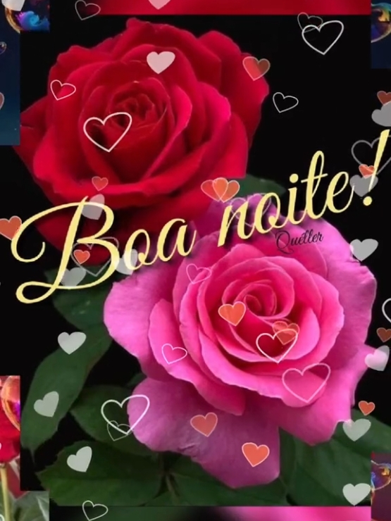@Niube Resende💃👠📕🇧🇷🌻