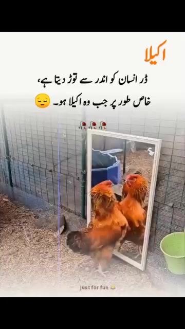 @ranja g 502