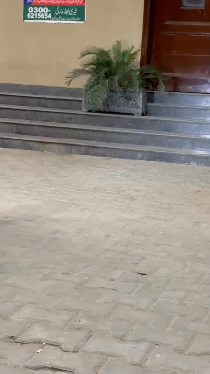 @SAMI&rsquo;s HONDA 125zr