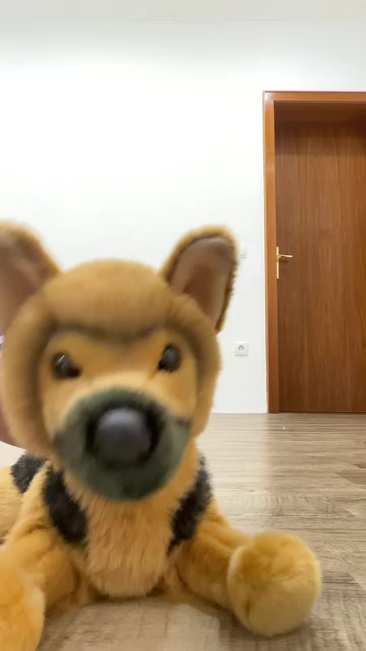 @germanshepherdfan01