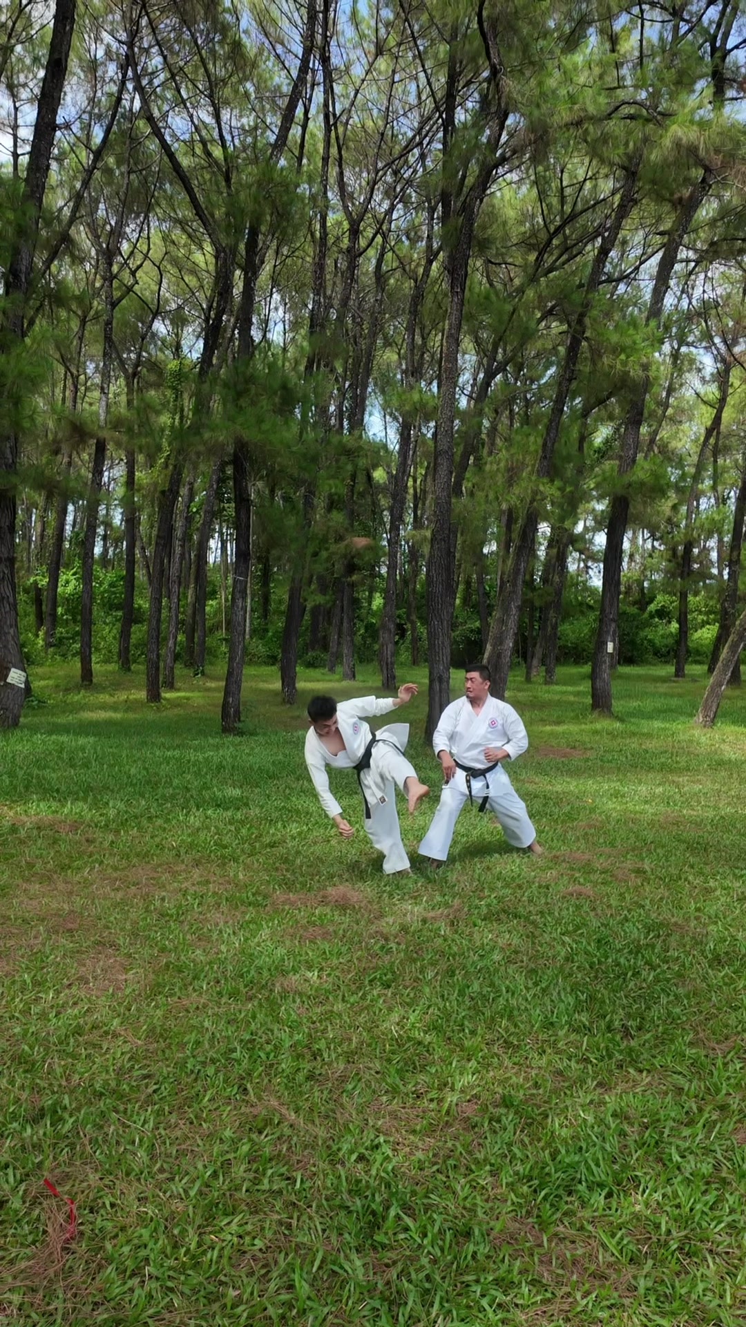 @Loi Tran Karate