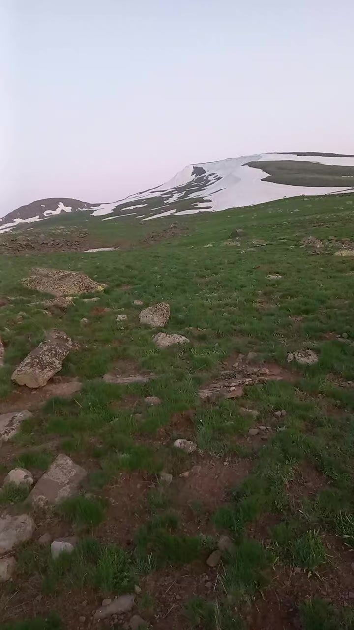 @yılmaz mustafa şen