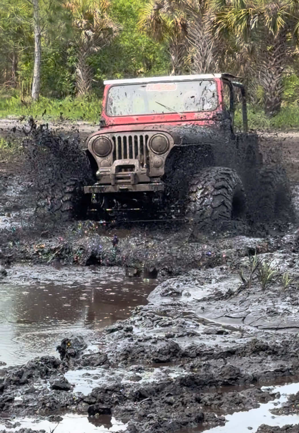 @Floridacrackercreations