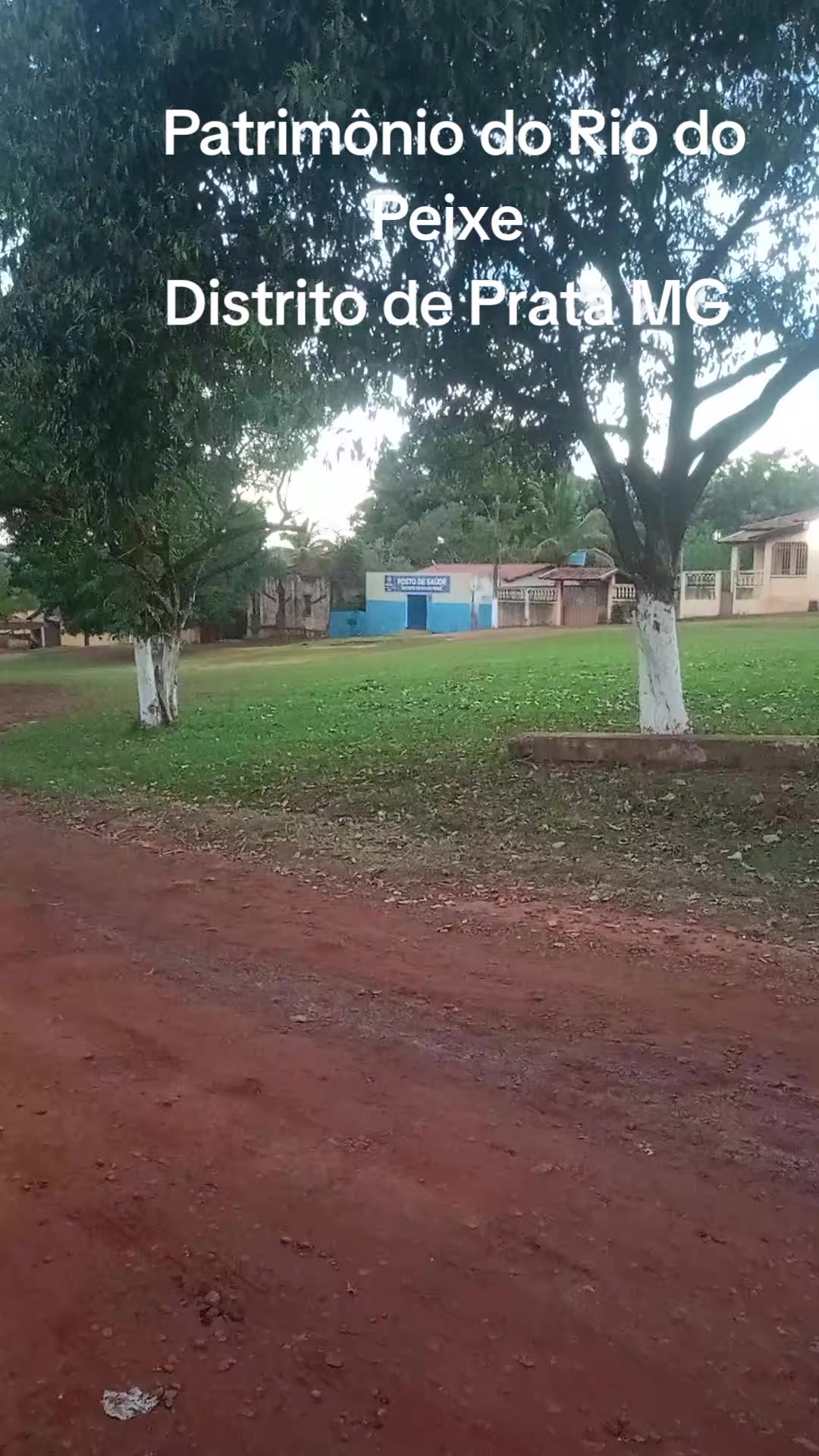 @Adriana Aparecida Si