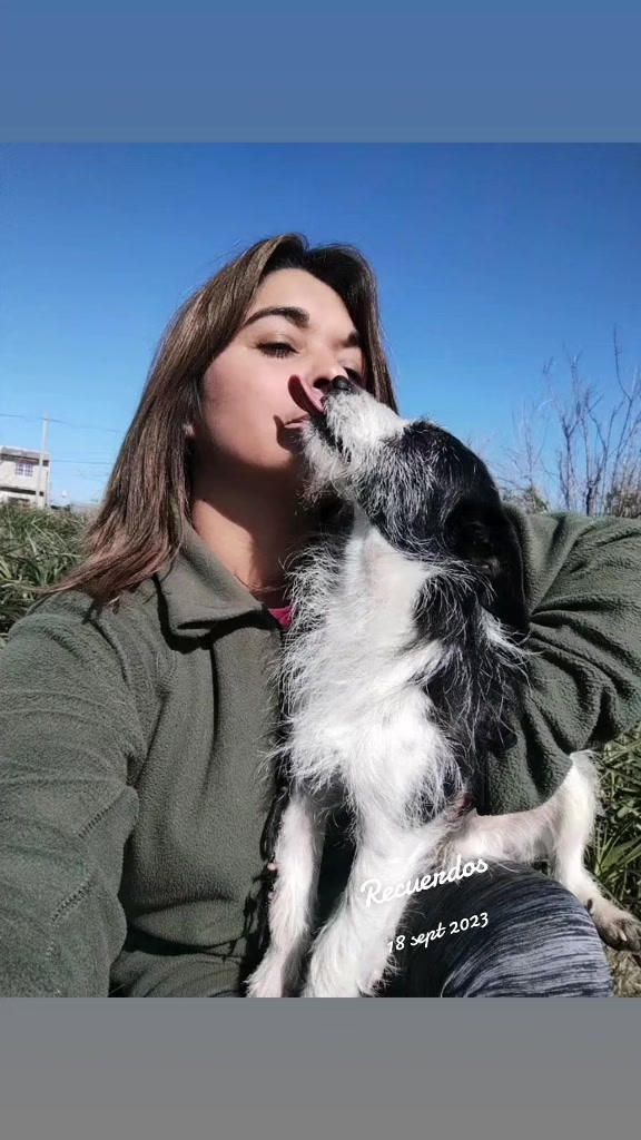 @li@PelusinyNeron🐾