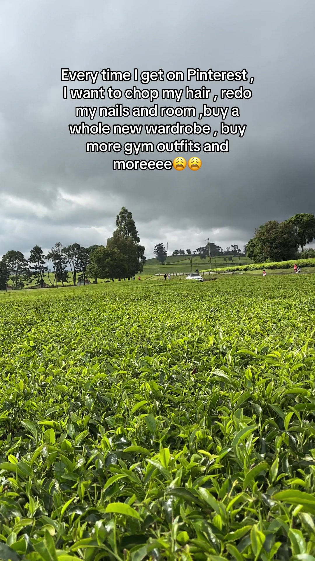@wayua🦄🌹🌺