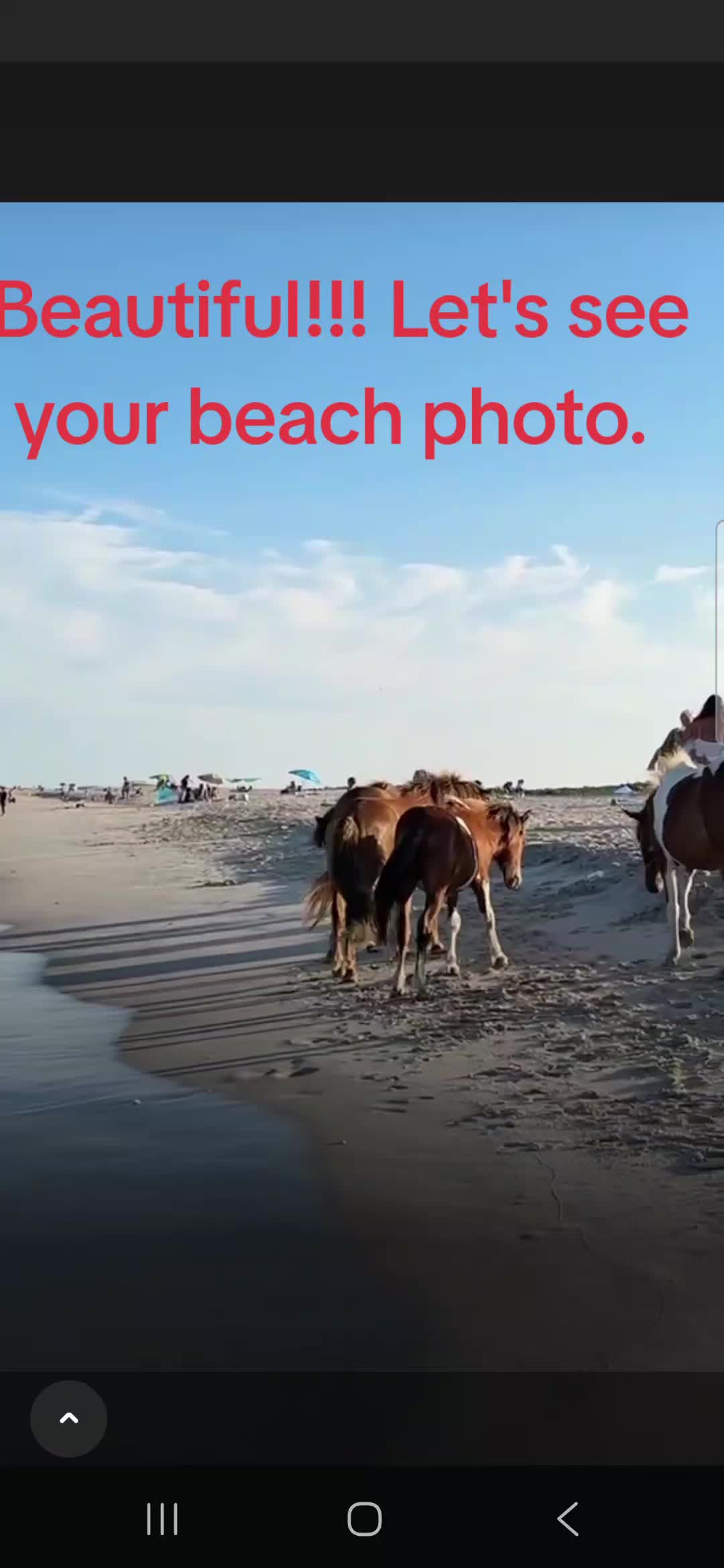 @Mike