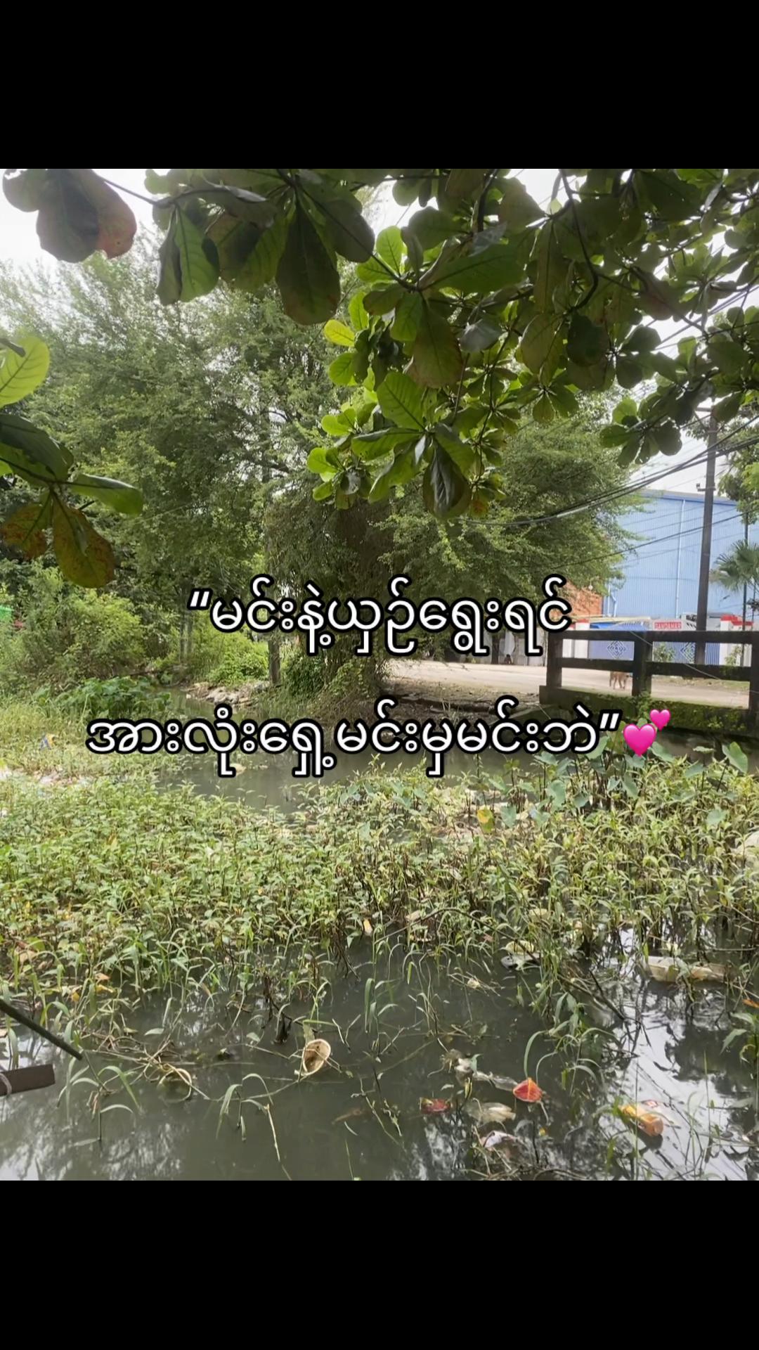 @myat thu (Arm wrestling)