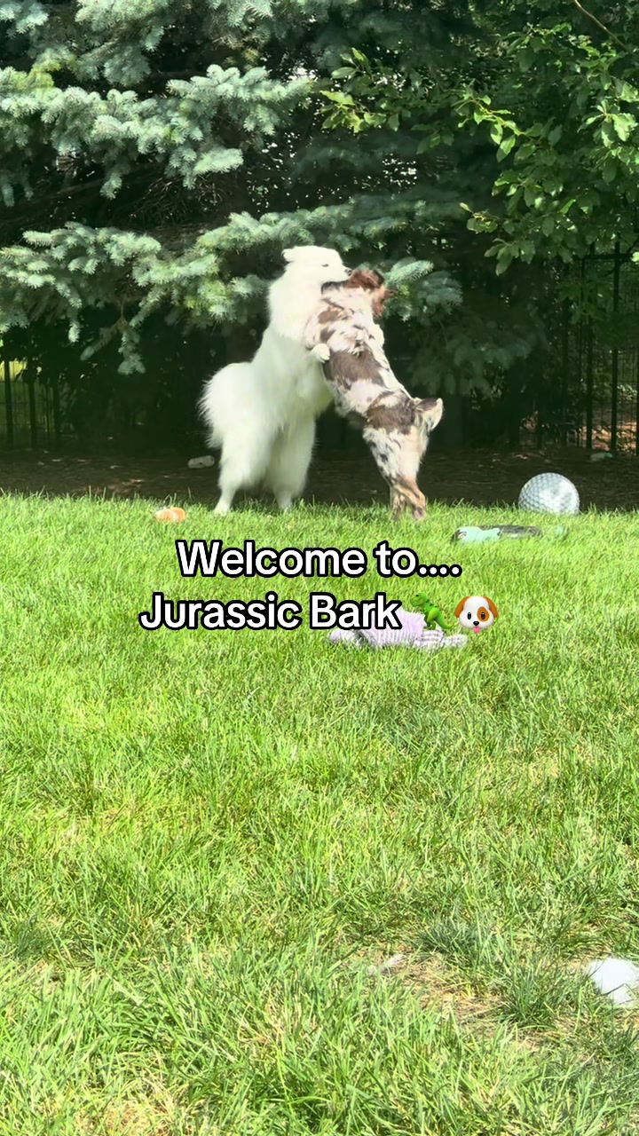 @doougsquad