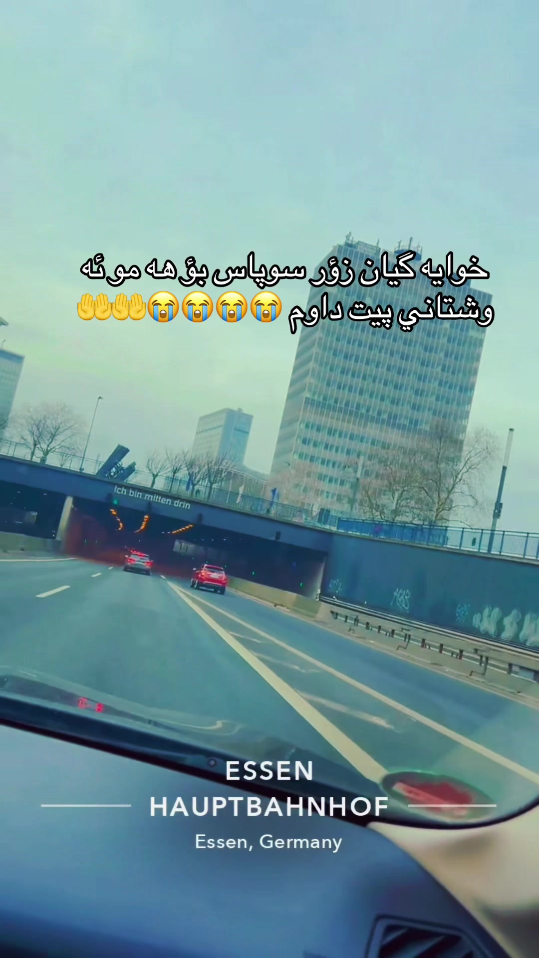 @naskagull6