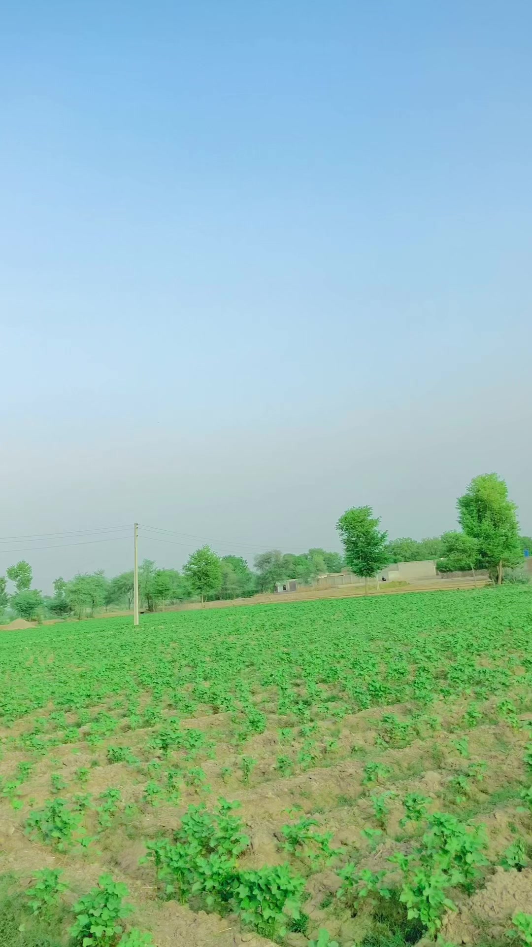 @AMEER KHAN 007🥷