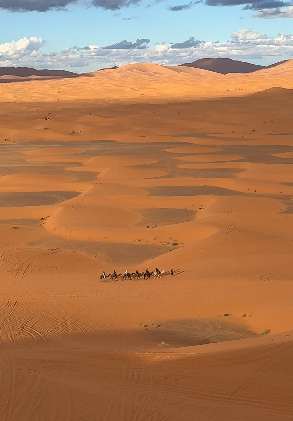 @Merzouga Globe 🌎