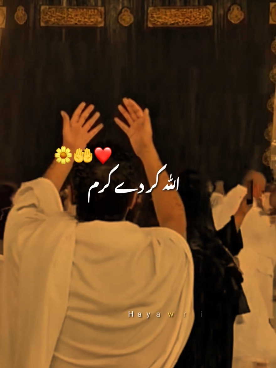 @Haya
