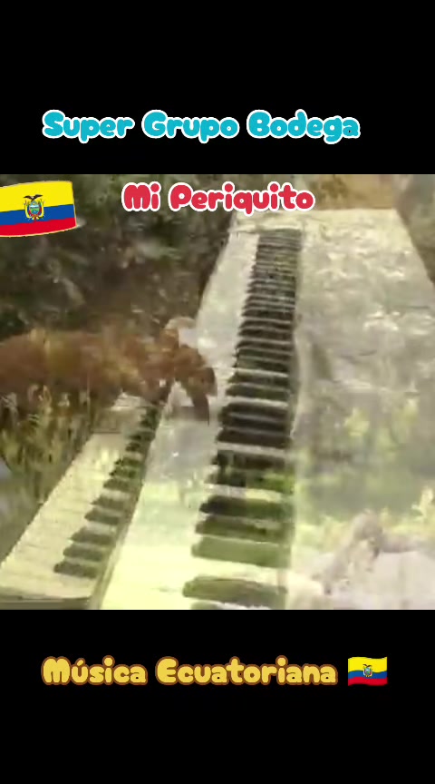 @🇪🇨 MUSICA ECUATORIANA 🇪🇨