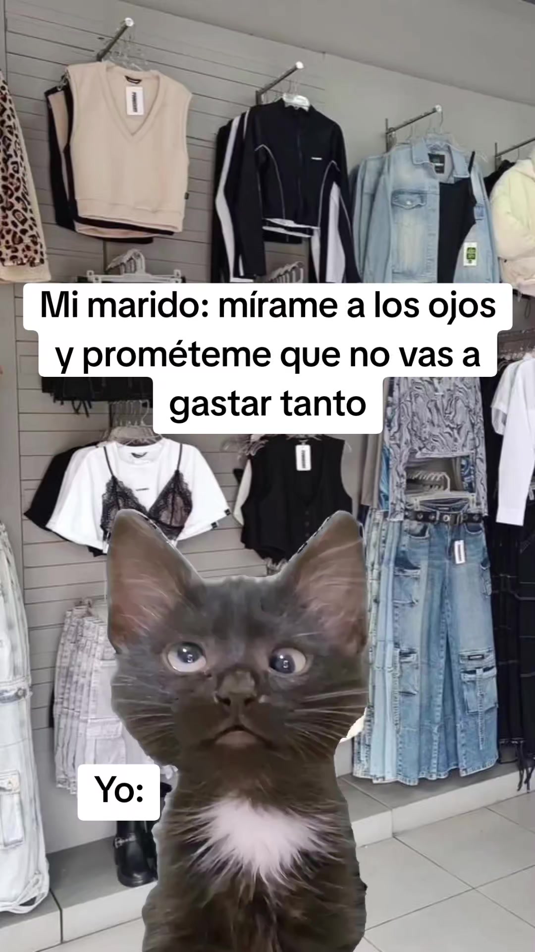 @ersa