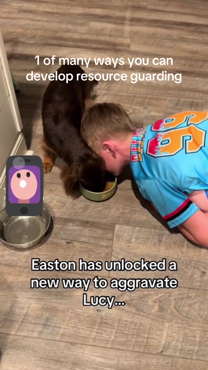 @Best Buddy Dog Trainer LLC