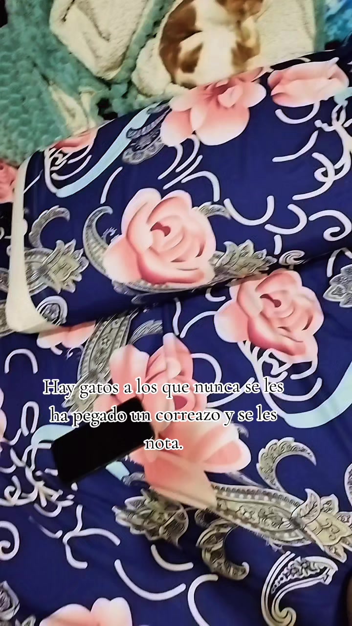 @Karen MF