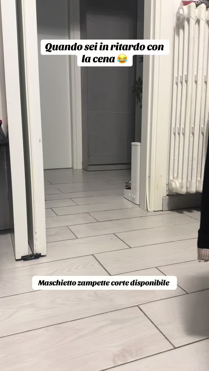 @alyssa gatto salsiccia