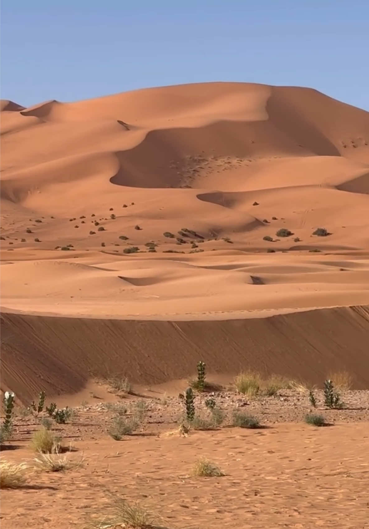 @Merzouga Globe 🌎