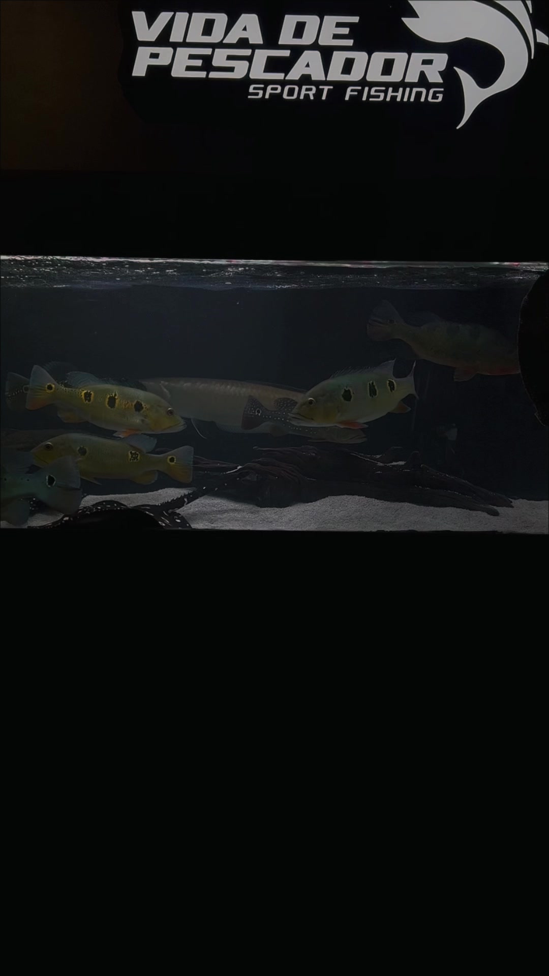 @VIDA DE PESCADOR
