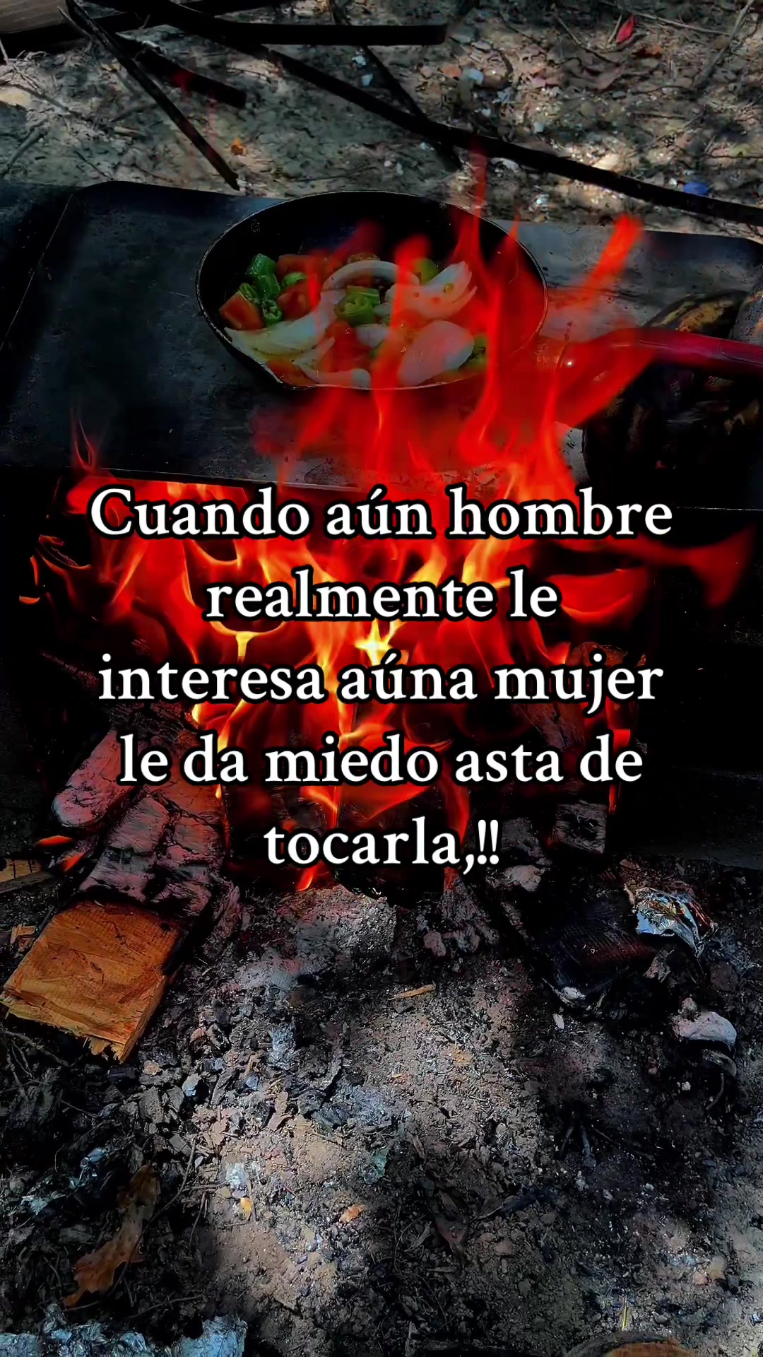 @Un-lobo,domesticado🧔🏻&zwj;♂️🇲🇽