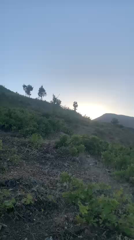 @EMİR ATAŞ 13/33