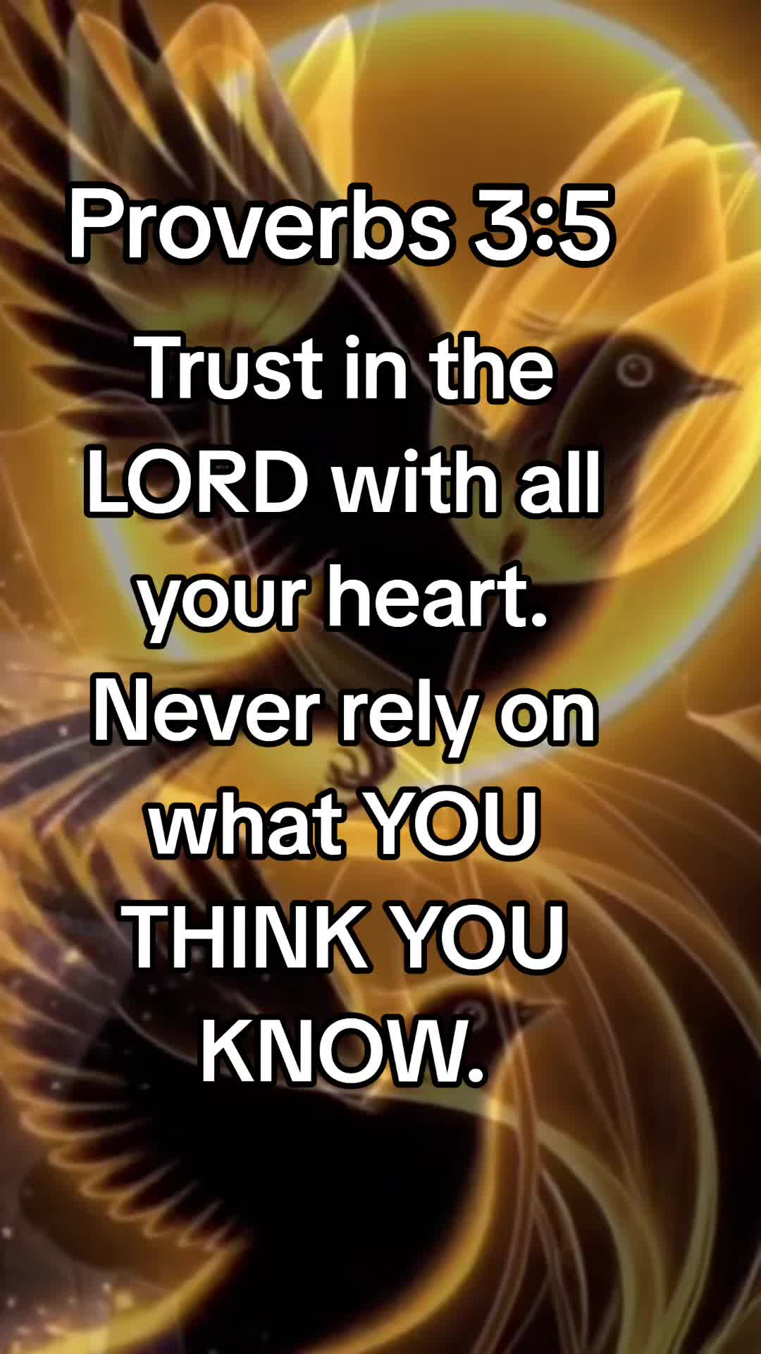 @Rondi God's Servant 📢👄🪖