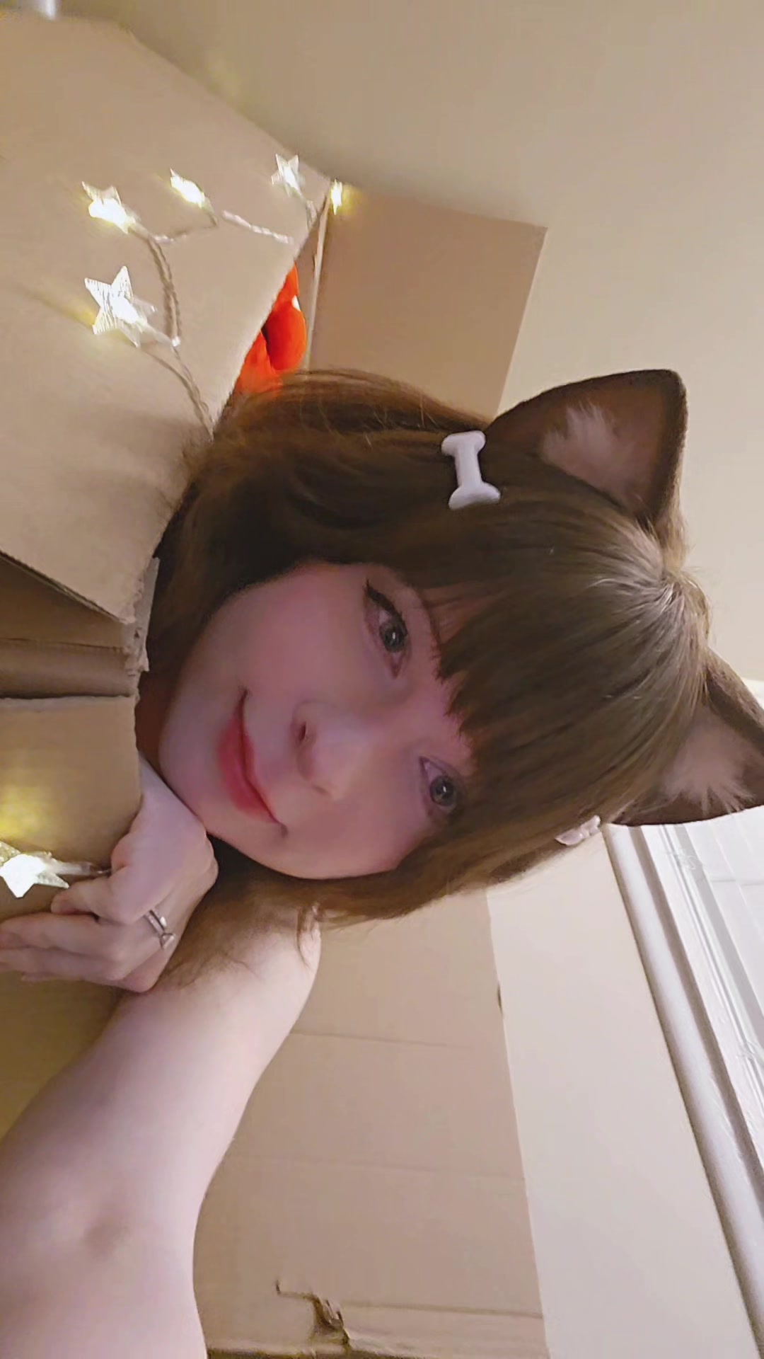 @nyanko🐾