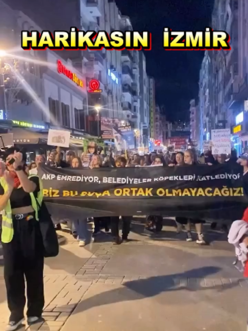@kedifanatikleri