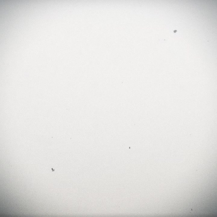 @VINICIO☂️🐦&zwj;⬛