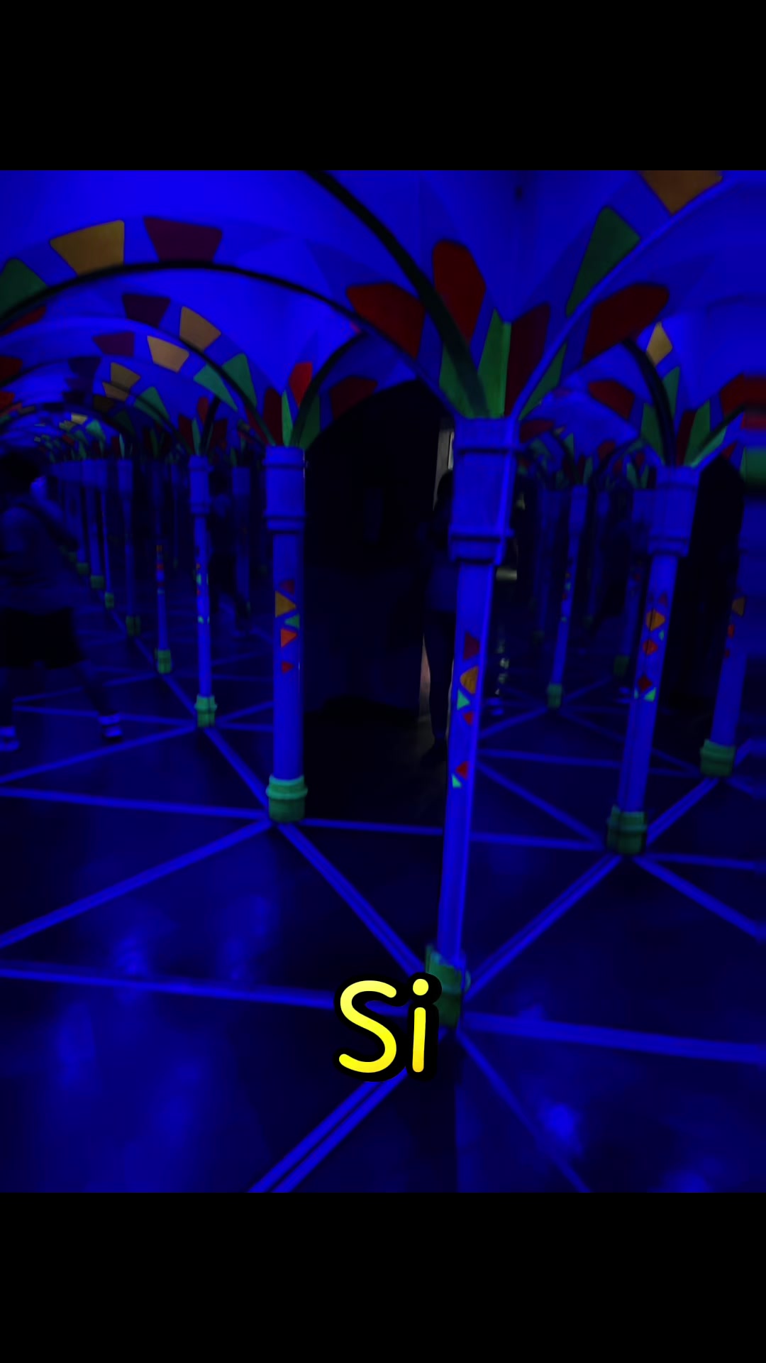 @✨🌷✨