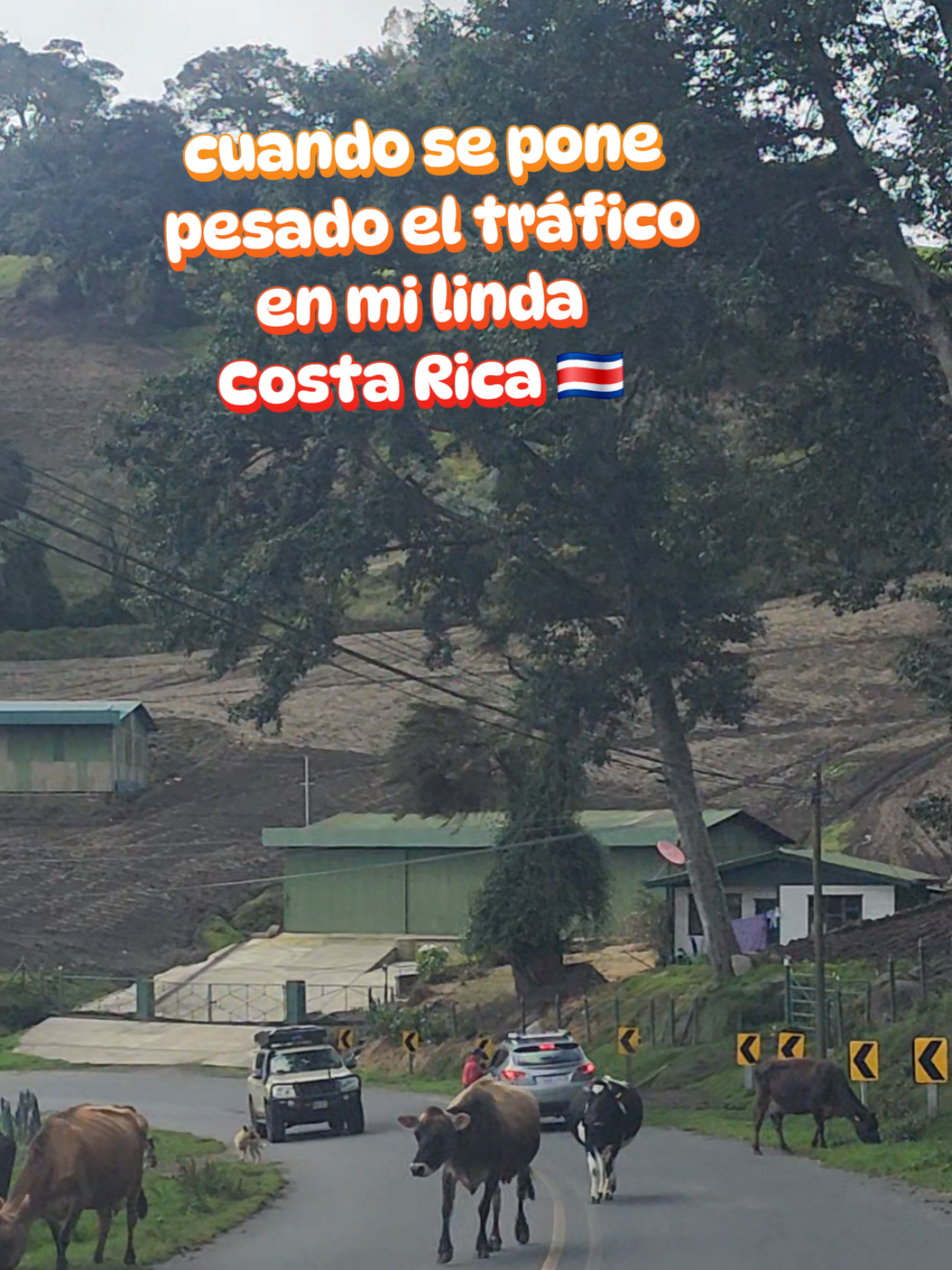 @Rasta Tours CR