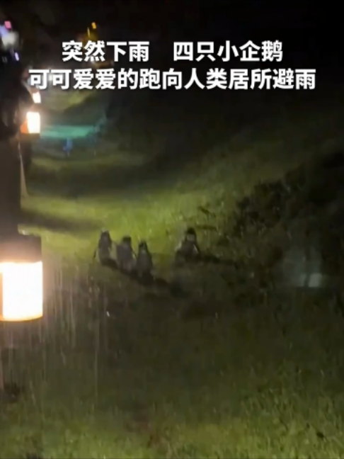 @闽南风~