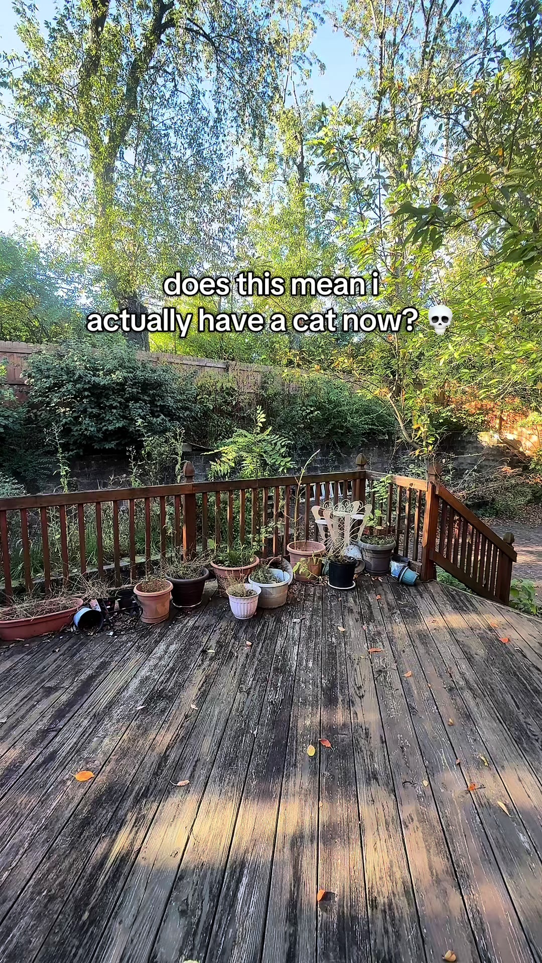@churchofcleo